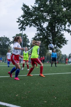 Bild 293 - C-Juniorinnen HSV - Walddoerfer : Ergebnis: 9:1